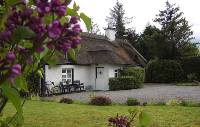Kilkenny Cabin | Charming And Cosy 300 yr Old Thatched Cottage.