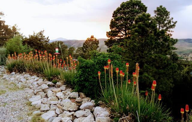 Ruidoso Downs Cabin | Mountian Top Retreat 102 Idaho Dr. Ruidoso Downs