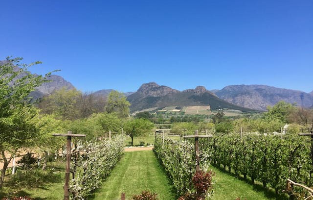 Franschhoek Cabin | Woodend Cottage with Private Garden & Pool