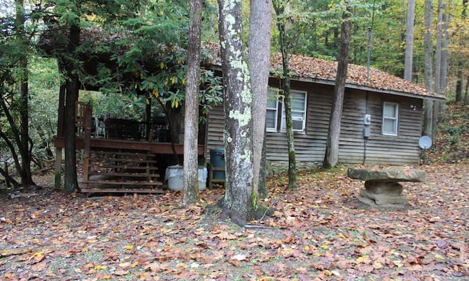Cleveland Cabin | Driftwood Cabin in Almost Heaven, Hacker Valley WV