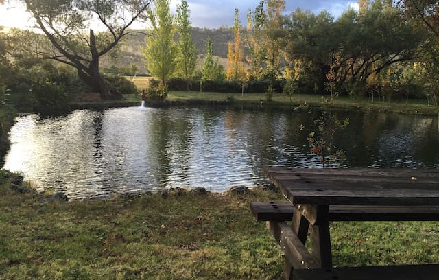 Red Bluff House | Meadowbrook Cottage #3 - 2 Bedroom Near Mt. Lassen