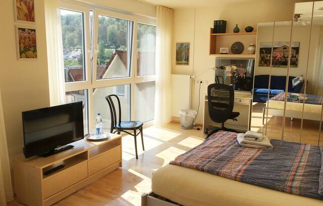 Aidlingen Apartment | Großes, einladendes Zimmer mit Morgensonne