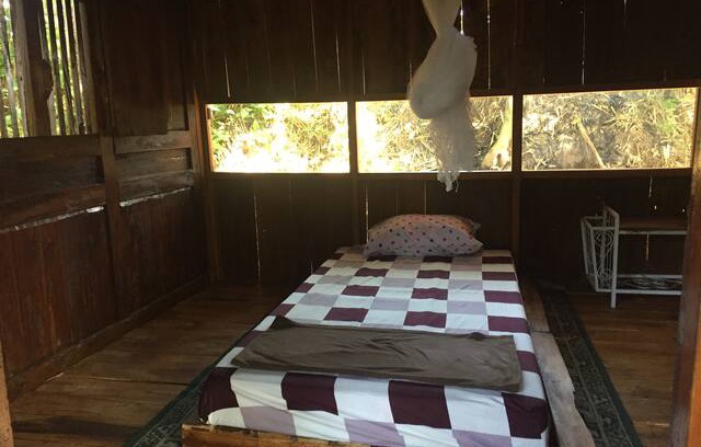 Sari Harjo House | Omah Pari, Penginapan dengan nuansa desa.