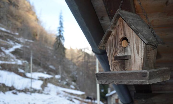 Gressoney-Saint-Jean Bed & Breakfast | Bed and breakfast "La Torre di Adele"