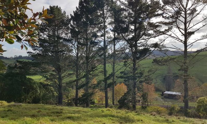 Brookby Other | Auckland Farmstay (Whitford)