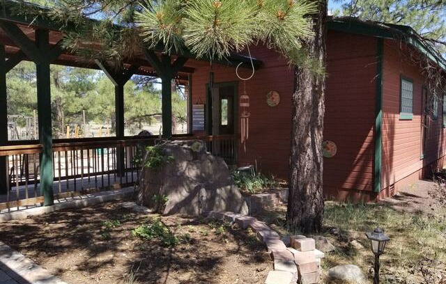 Flagstaff Cabin | PlanB Cottage