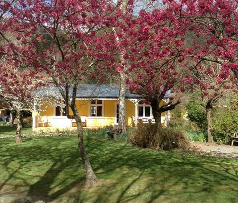Waihopai Valley Cabin | The Original Netherwood Farm Cottage