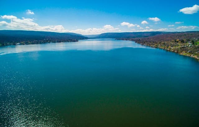 Honeoye House | Paradise on the Lake