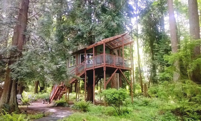 Freeland Other | Tree House on Whidbey Island, WA