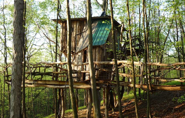 West Pawlet Other | The Hermit Thrush Treehouse
