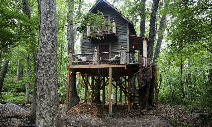 Plymouth House | Treehouse & Magician Estate - Experience