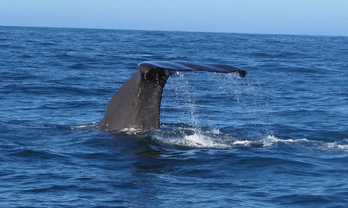Kaikoura Bed & Breakfast | Ruth's