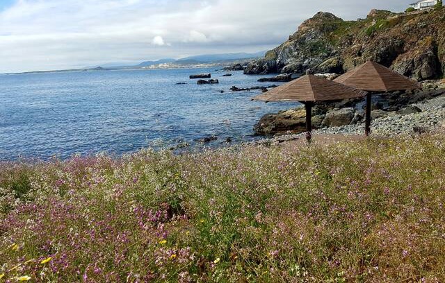 Los Vilos House | Bella Casa en Bahía Azul