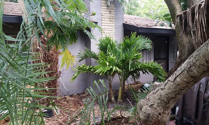 South Sarasota House | Cosmic Cottage Experience You'll Never Forget