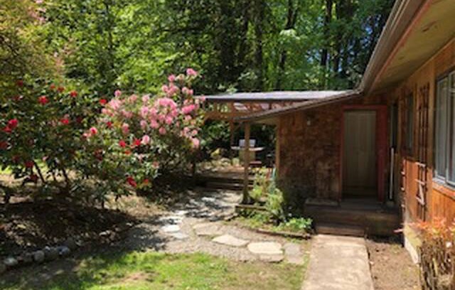 Robinwood Cabin | The Bee Cottage