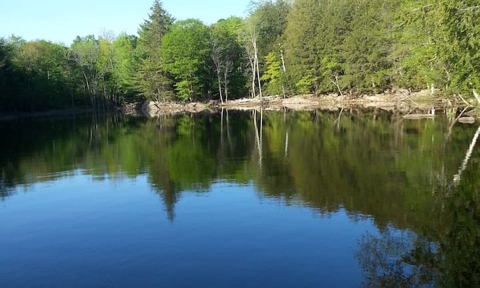 Whitestone Cabin | Delightful Wolfhound Cottage on Lake Wahwashkesh