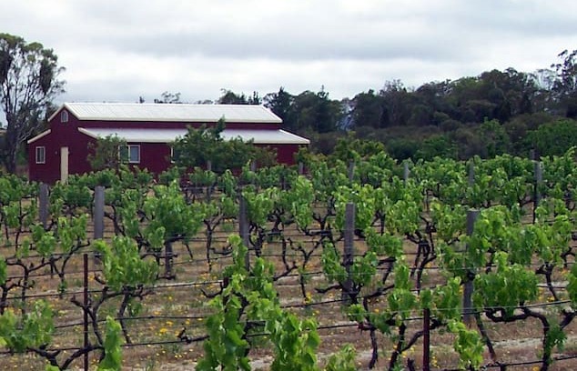 Glen Aplin Other | Jollity Farm on the Granite Belt