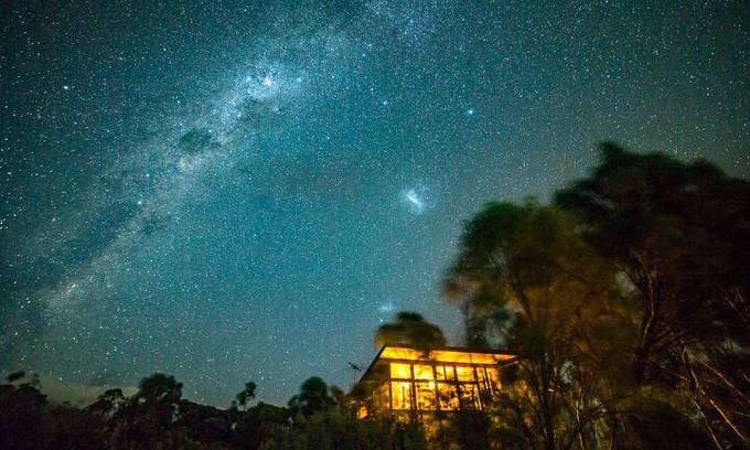 Sellicks Hill Other | The Treehouse McLaren Vale Vineyard