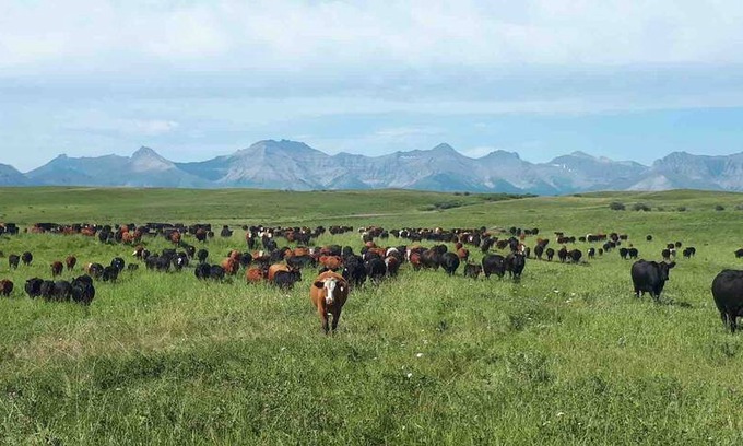 Division No. 3 Other | fishburn ranch