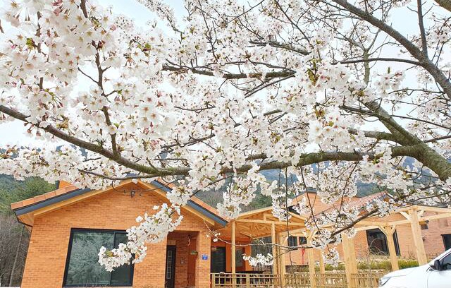 Gochang Cabin | 고창풀빌라펜션 소리재 (독채40평)단독풀장(무료)/노래방/족구장/트렉터 갯벌조개체험