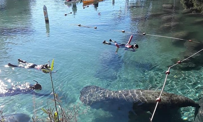Homosassa Springs House | Mermaid's Rest Bed and Breakfast