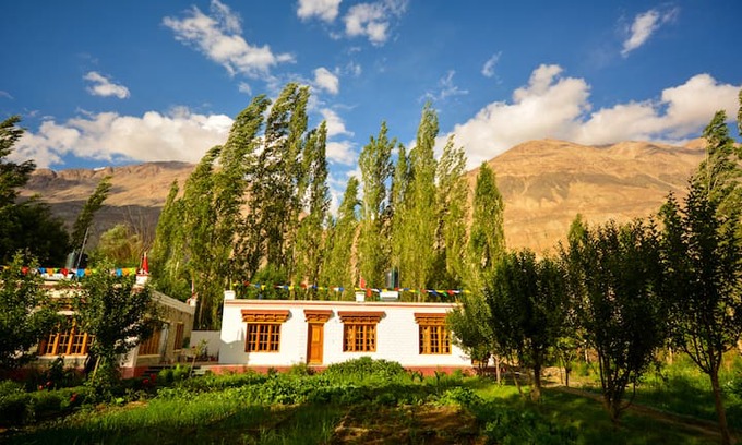 Nubra Valley Hotel | The Kesar, Nubra Valley