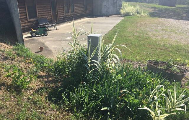 Gillham Cabin | Les farms getaway Eagle cabin