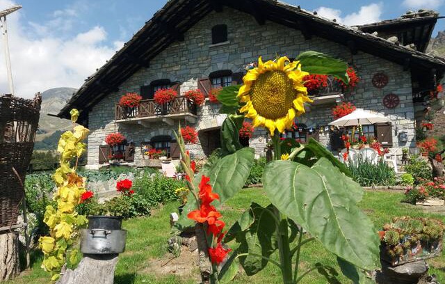 Viu Cabin | "Casa Asciutti"