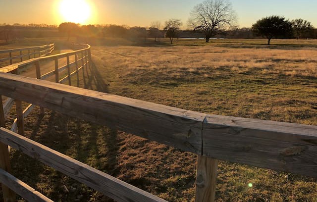 Chappell Hill House | Bella's Bluebird Ranch & Oasis