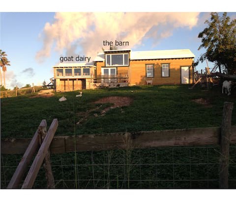 Paget Other | The Barn, 9 Lagoon Drive, Paget, Bermuda