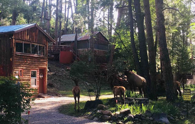 Ruidoso Cabin | Hootie’s Cabin in the Pines.