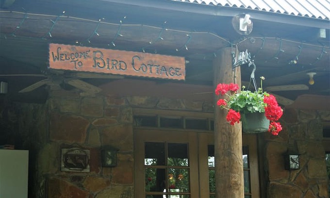 Palestine Cabin | Bird Cottage