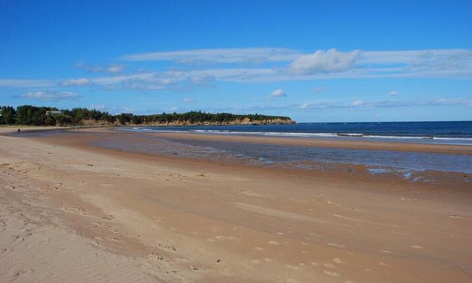 Little Harbour Cabin | Birch Grove Cottage near Melmerby Beach