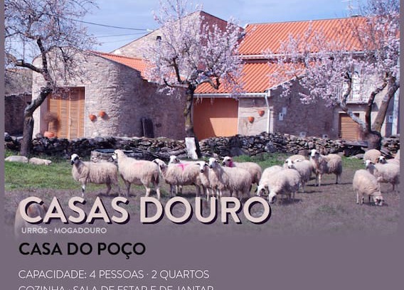 Urros Cabin | Casa do Poço - Turismo Rural