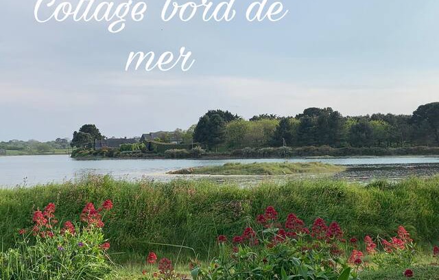 Pleubian Cabin | Cottage bord de mer "Arthur et Morgane"