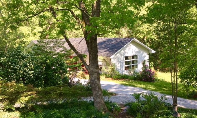 Pinnacle Cabin | Forest Fox Cottage, near three state parks