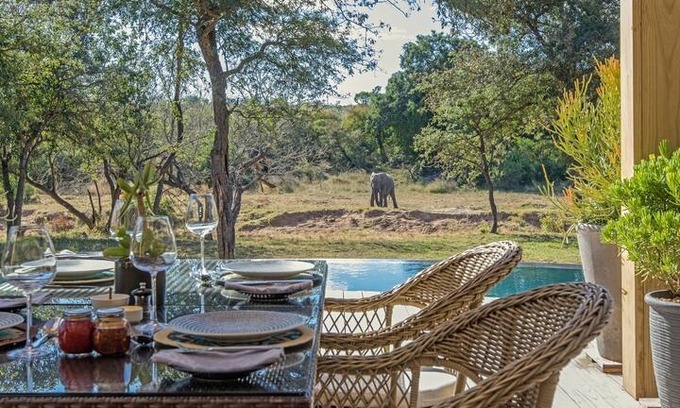 Thorny Bush Game Reserve Cabin | River Lodge Suite - The River Lodge at Thornybush