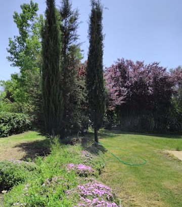 Reguengos de Monsaraz House | Monte das oliveiras