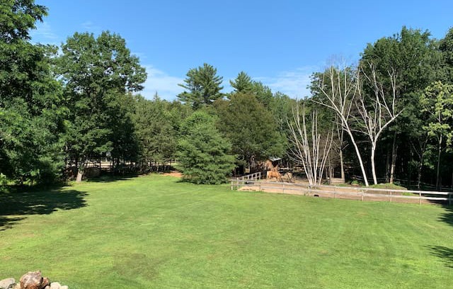 Gray Other | The Retreat at Crystal Lake Farm