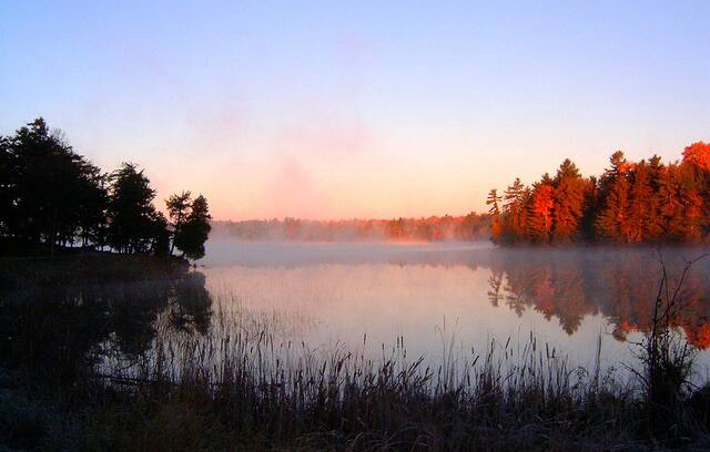 Youngs Point Cabin | Cabins@705 - The Curious Heron - Cabin 2
