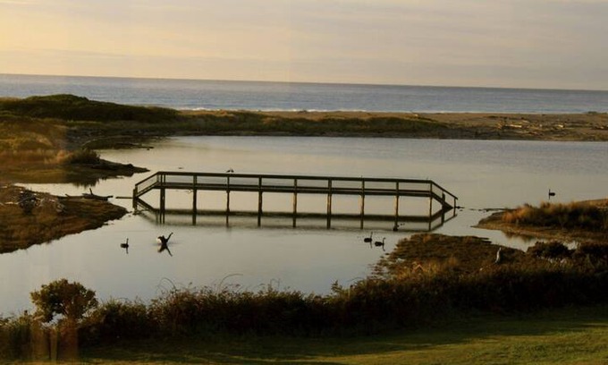 Scamander House | Swan Cottage On The Waterfront