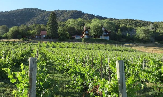 Paonia House | La Mesa Lodge~spectacular mountain views, vineyard