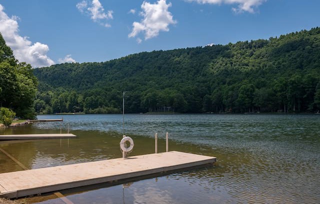 Saluda House | Tanglewood Cabin: Lake Sheila; Saluda & TIEC. Fun!