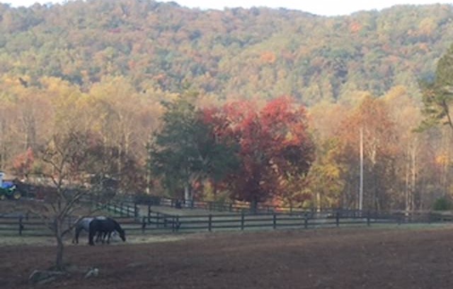 Free Union House | Beckets Run Cottage, Free Union, VA