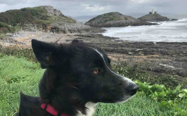Mumbles House | Beachcombers Chalet (No extra costs) Dogs Welcome