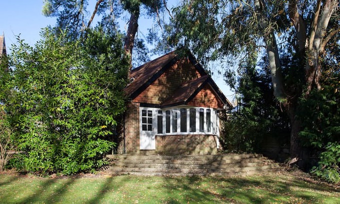 Godstone House | Squirrels