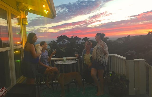 Davenport House | Davenport Landing Beach: Windsurfer's/Pet's Dream