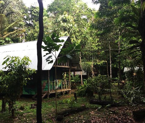 Puerto Narino Cabin | REFUGIO TURÍSTICO MAIKU
