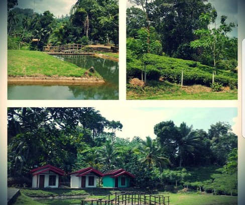 Weddagala Cabin | Rainforest Cabana House, Sinharaja, Kalawana