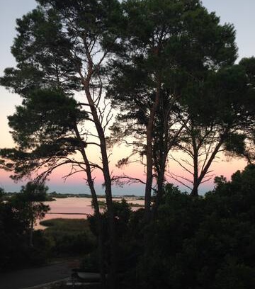 Cedar Key Cabin | Anchor Point Cottage